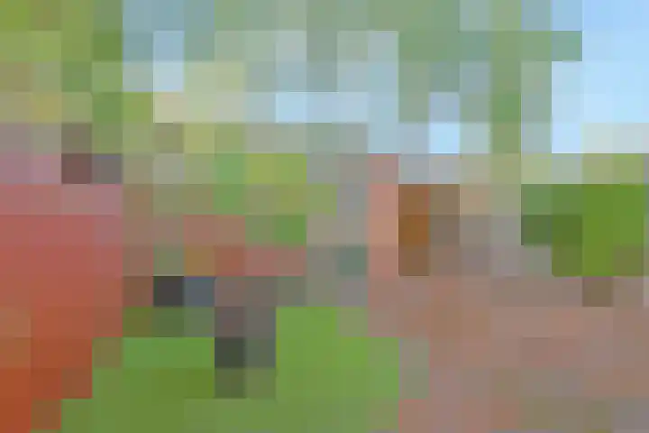Reigerlaan 44 Hoevelaken thumbnail 32