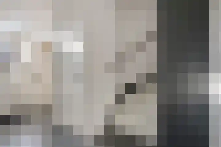 Reigerlaan 47 Noordwijkerhout thumbnail 11
