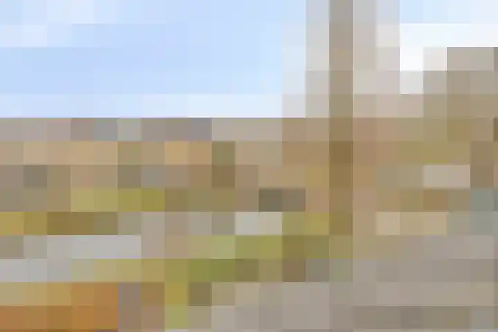 Reigerlaan 47 Noordwijkerhout thumbnail 36