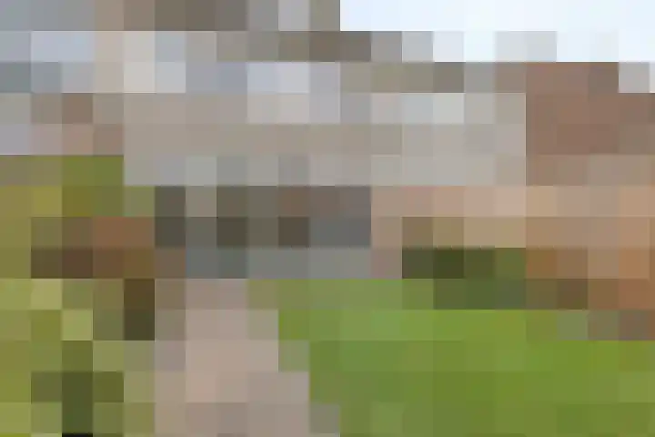 Reigerlaan 47 Noordwijkerhout thumbnail 39