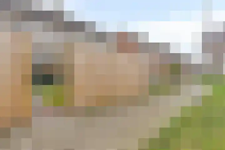 Reigerlaan 47 Noordwijkerhout thumbnail 41