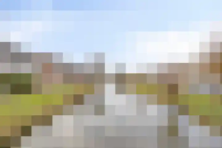 Reigerlaan 47 Noordwijkerhout thumbnail 42