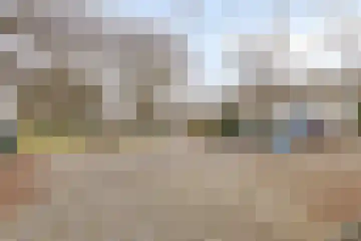 Reigerlaan 47 Noordwijkerhout thumbnail 43