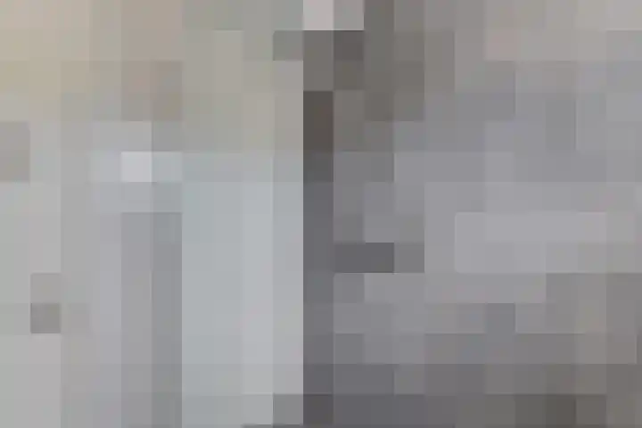 Reigerlaan 48 Obdam thumbnail 27