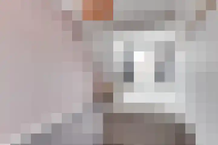 Reigerlaan 48 Obdam thumbnail 28
