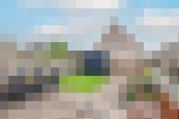 Reigerlaan 48 Obdam thumbnail 35