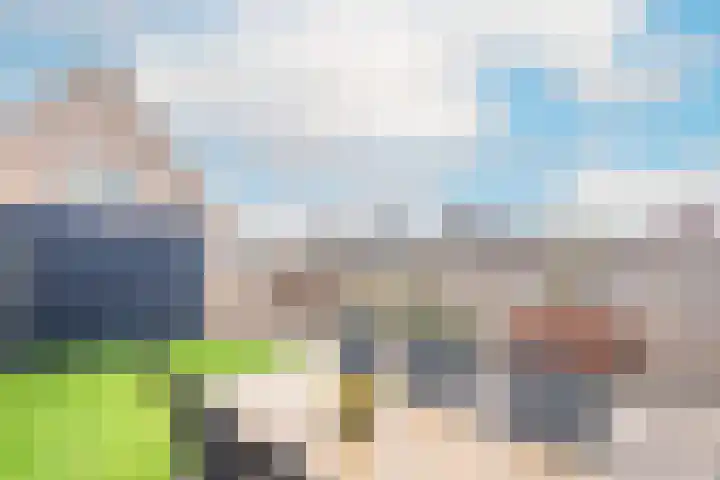 Reigerlaan 48 Obdam thumbnail 36