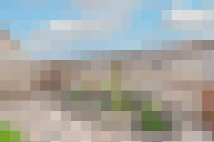 Reigerlaan 48 Obdam thumbnail 37