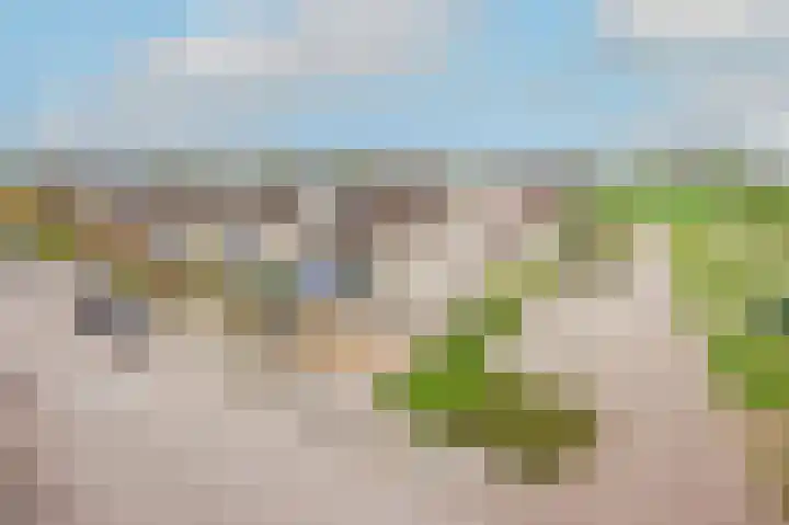Reigerlaan 48 Obdam thumbnail 43