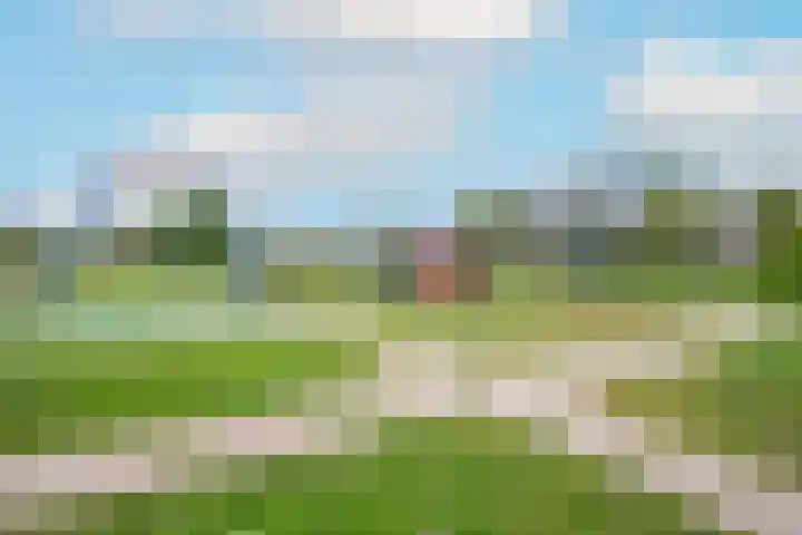 Reigerlaan 48 Obdam thumbnail 45