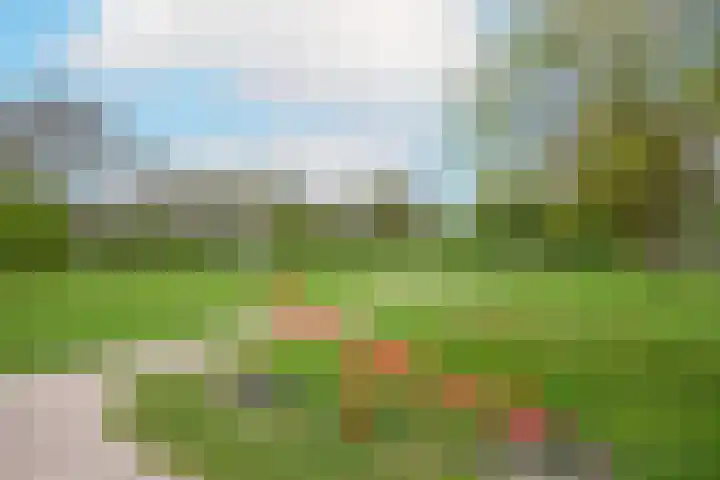 Reigerlaan 48 Obdam thumbnail 46