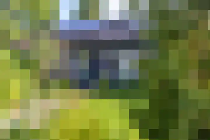 Reigerlaan 56 Helmond thumbnail 30