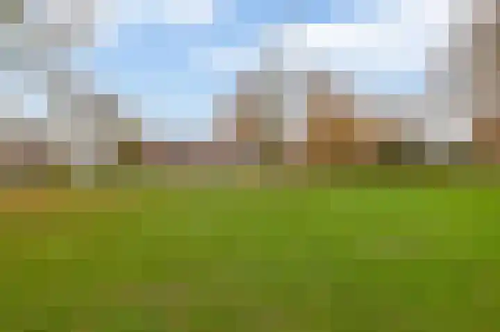 Reigerlaan 56 Helmond thumbnail 35