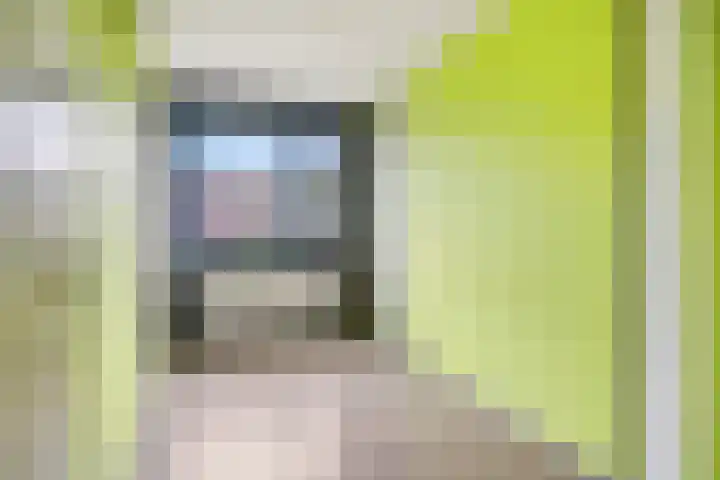 Reigerlaan 59 De Lier thumbnail 12