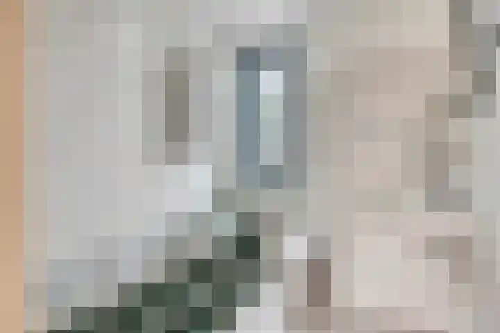 Reigerlaan 59 De Lier thumbnail 13