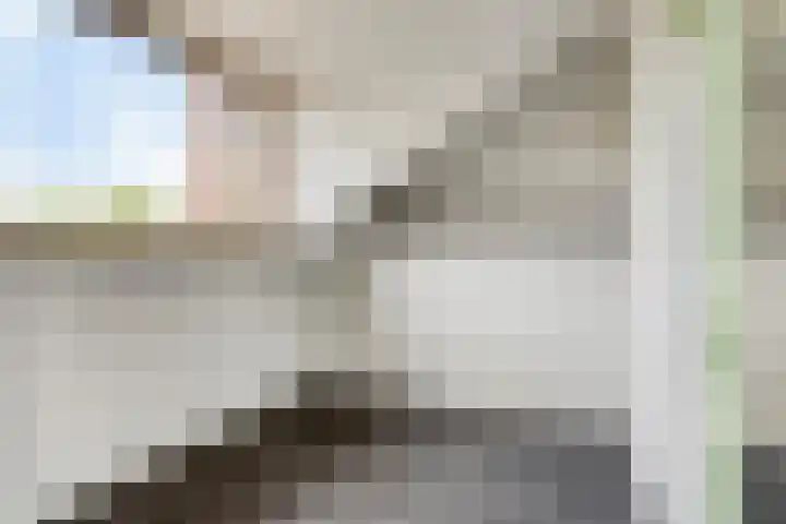 Reigerlaan 59 De Lier thumbnail 18