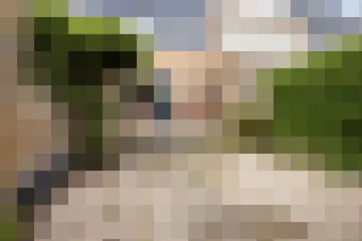 Reigerlaan 59 De Lier thumbnail 19