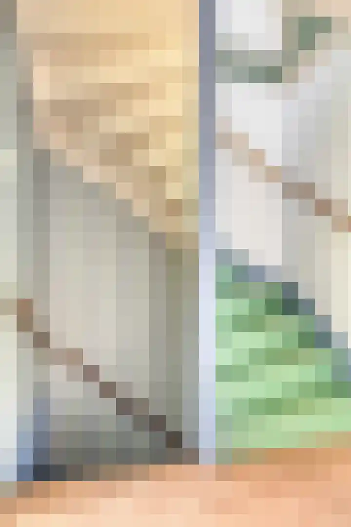 Reigerlaan 59 De Lier thumbnail 9