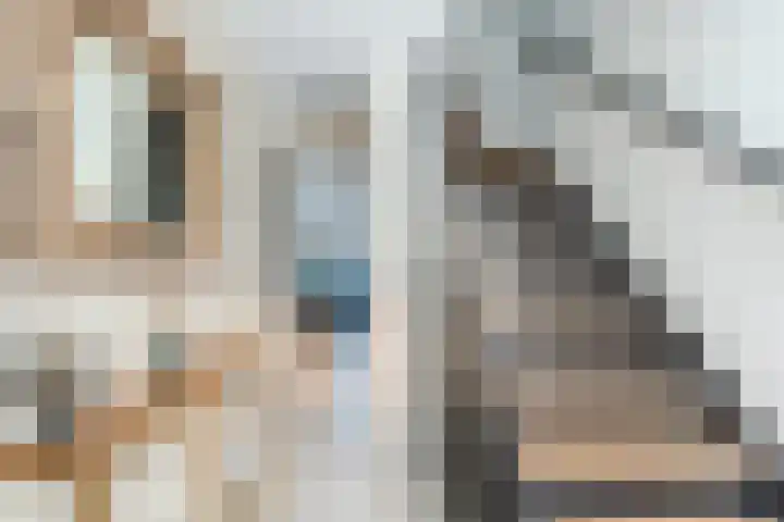 Reigerlaan 6 Bergschenhoek thumbnail 11
