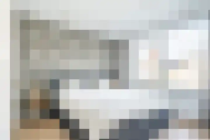 Reigerlaan 6 Bergschenhoek thumbnail 13