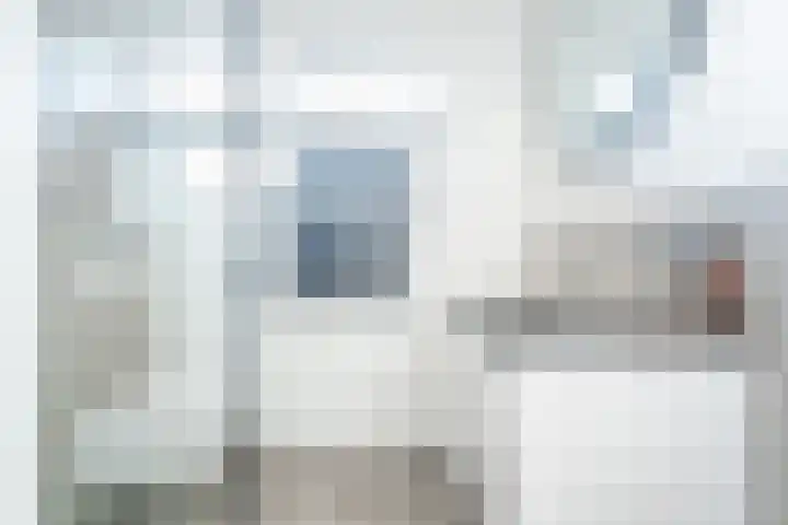 Reigerlaan 6 Bergschenhoek thumbnail 21