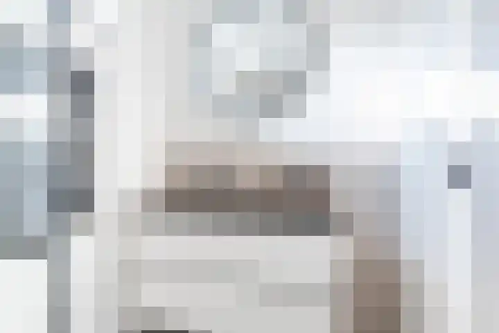 Reigerlaan 6 Bergschenhoek thumbnail 22