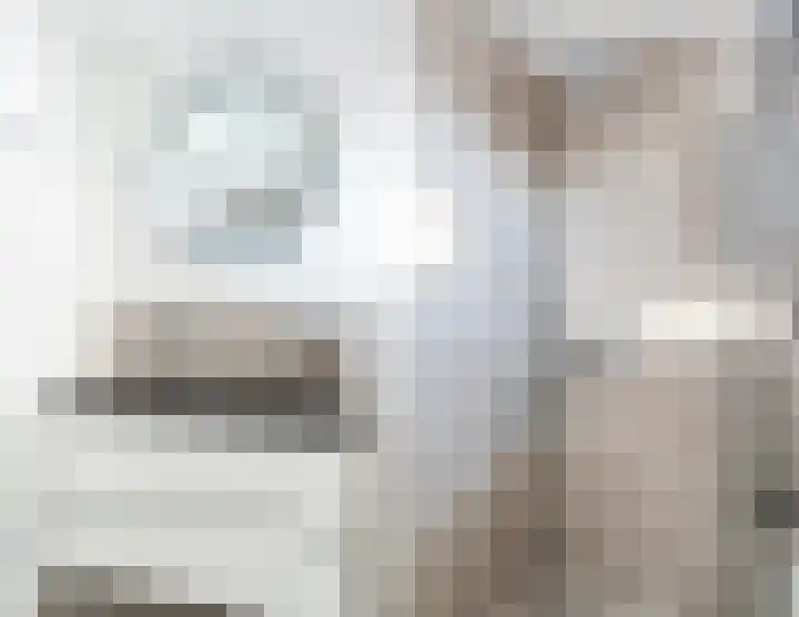Reigerlaan 6 Bergschenhoek thumbnail 23