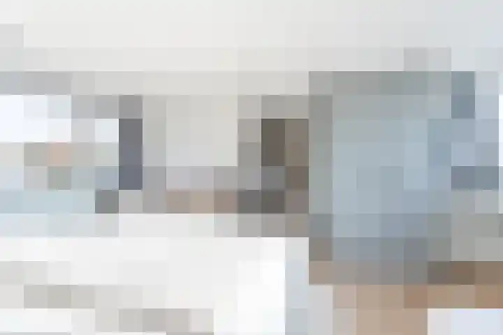 Reigerlaan 6 Bergschenhoek thumbnail 28