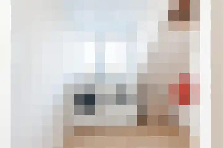 Reigerlaan 6 Bergschenhoek thumbnail 29