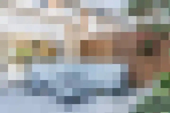 Reigerlaan 6 Bergschenhoek thumbnail 32
