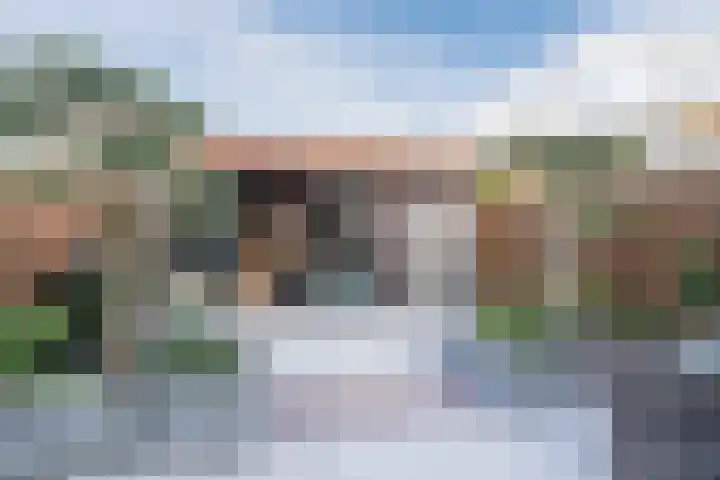 Reigerlaan 6 Bergschenhoek thumbnail 33