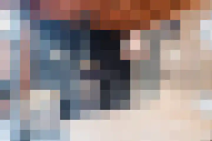 Reigerlaan 6 Bergschenhoek thumbnail 38