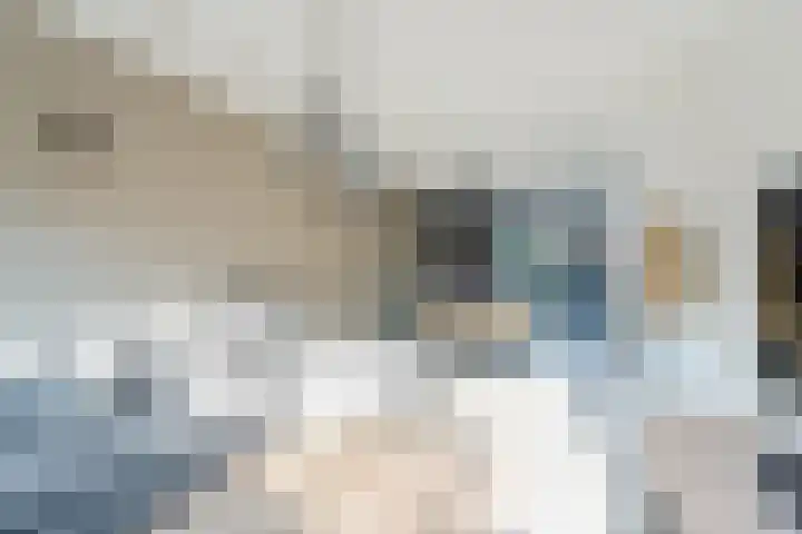 Reigerlaan 6 Bergschenhoek thumbnail 4