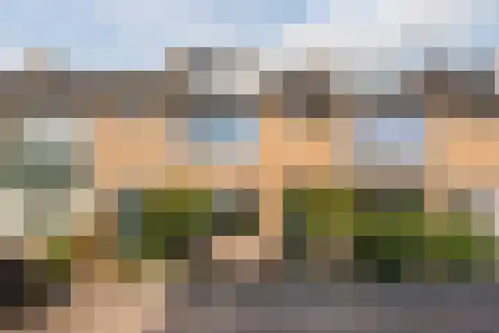Reigerlaan 6 Bergschenhoek thumbnail 41