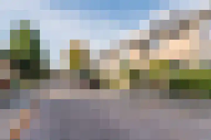 Reigerlaan 6 Bergschenhoek thumbnail 42