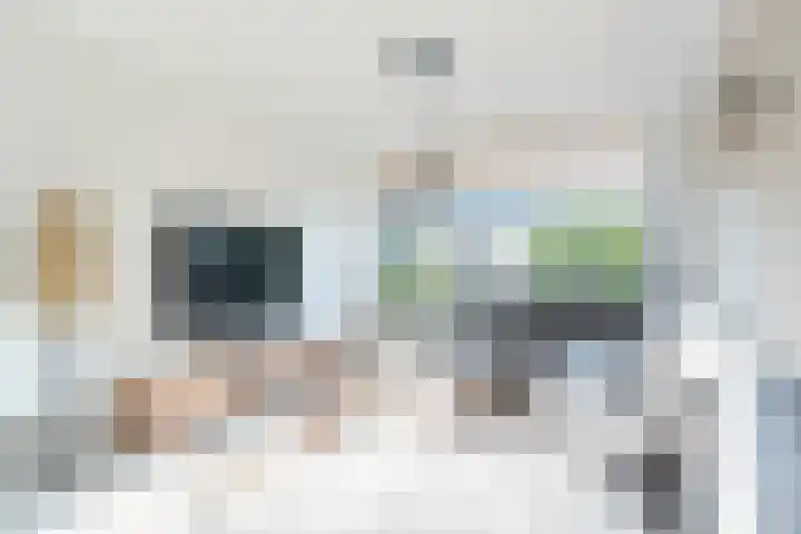 Reigerlaan 6 Bergschenhoek thumbnail 5
