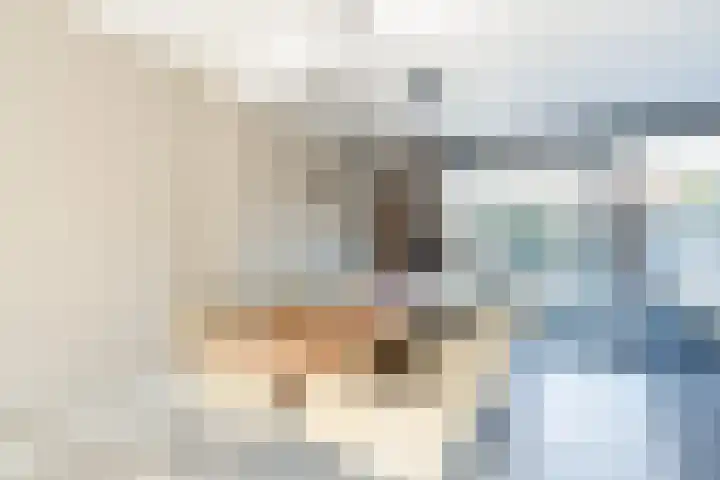 Reigerlaan 6 Bergschenhoek thumbnail 6