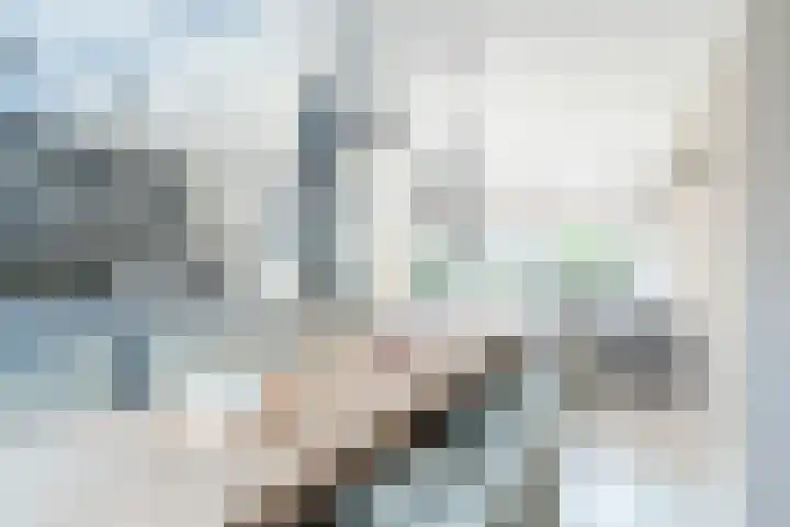 Reigerlaan 6 Bergschenhoek thumbnail 7