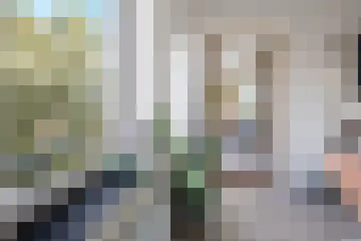 Reigerlaan 63 Vlaardingen thumbnail 10
