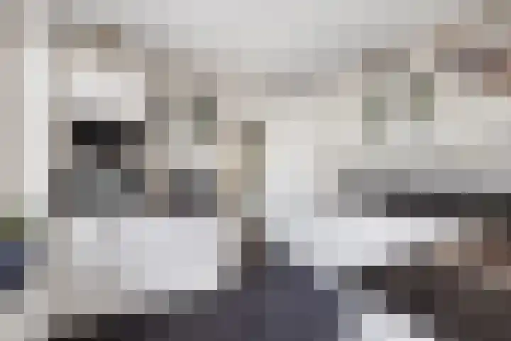 Reigerlaan 63 Vlaardingen thumbnail 11