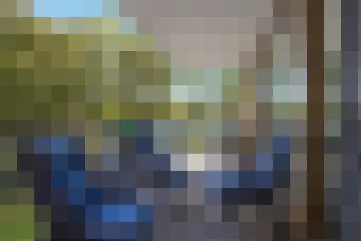 Reigerlaan 63 Vlaardingen thumbnail 20