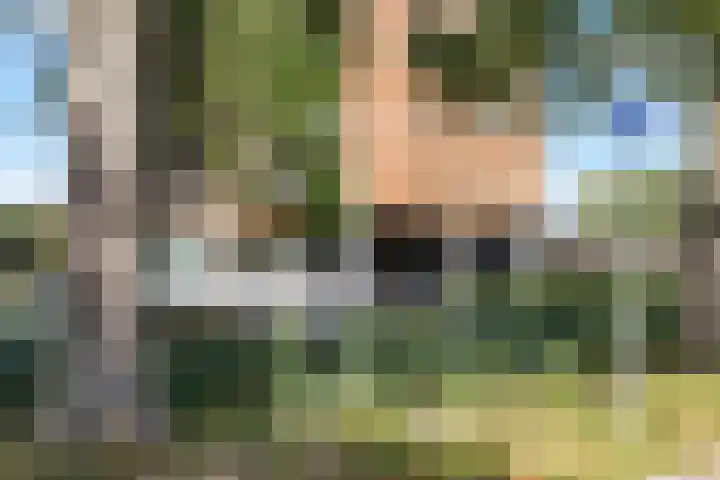 Reigerlaan 63 Vlaardingen thumbnail 22