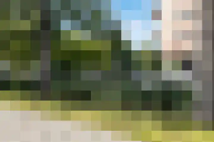 Reigerlaan 63 Vlaardingen thumbnail 23