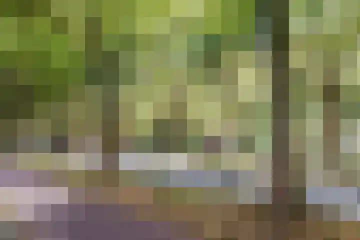 Reigerlaan 63 Vlaardingen thumbnail 24