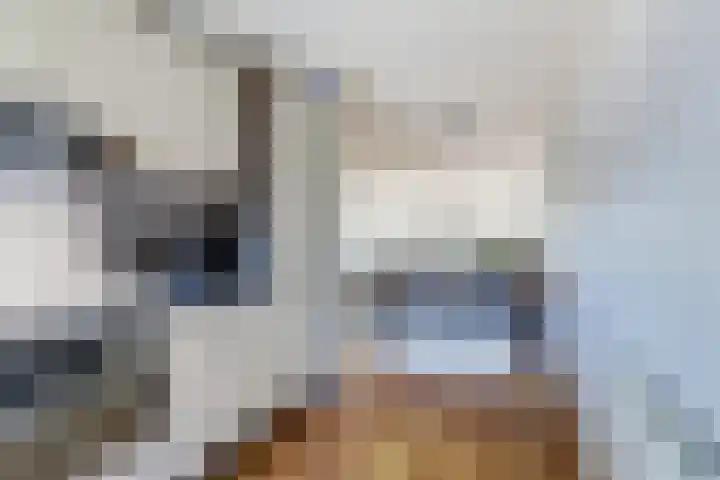 Reigerlaan 79 De Lier thumbnail 16