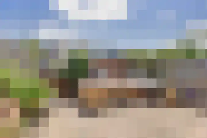 Reigerlaan 79 De Lier foto 3