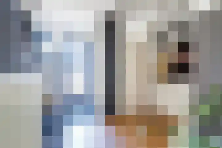Reigerlaan 79 De Lier thumbnail 8