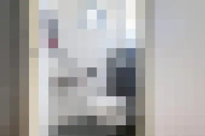 Reigerlaan 79 De Lier thumbnail 9