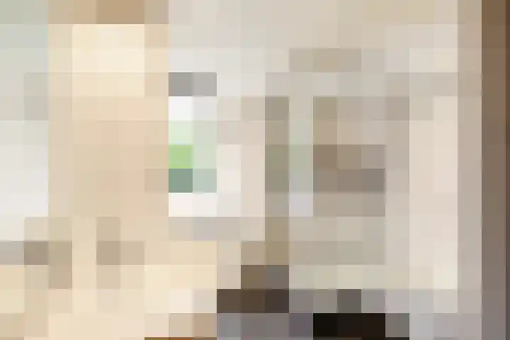 Reigerlaan 8 Nijkerk thumbnail 21