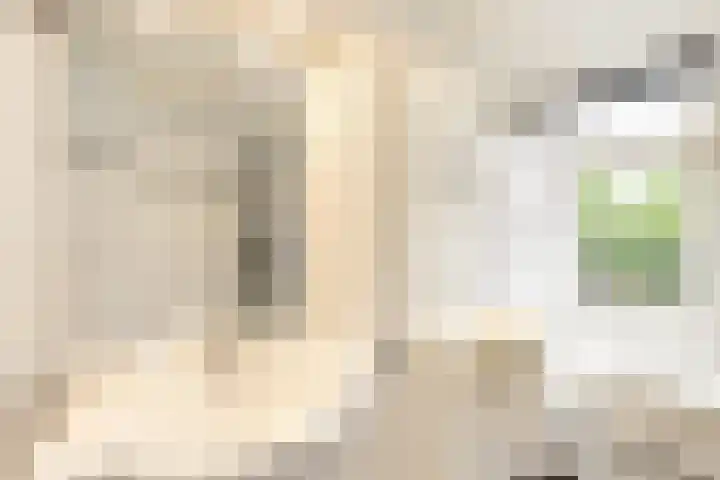 Reigerlaan 8 Nijkerk thumbnail 22